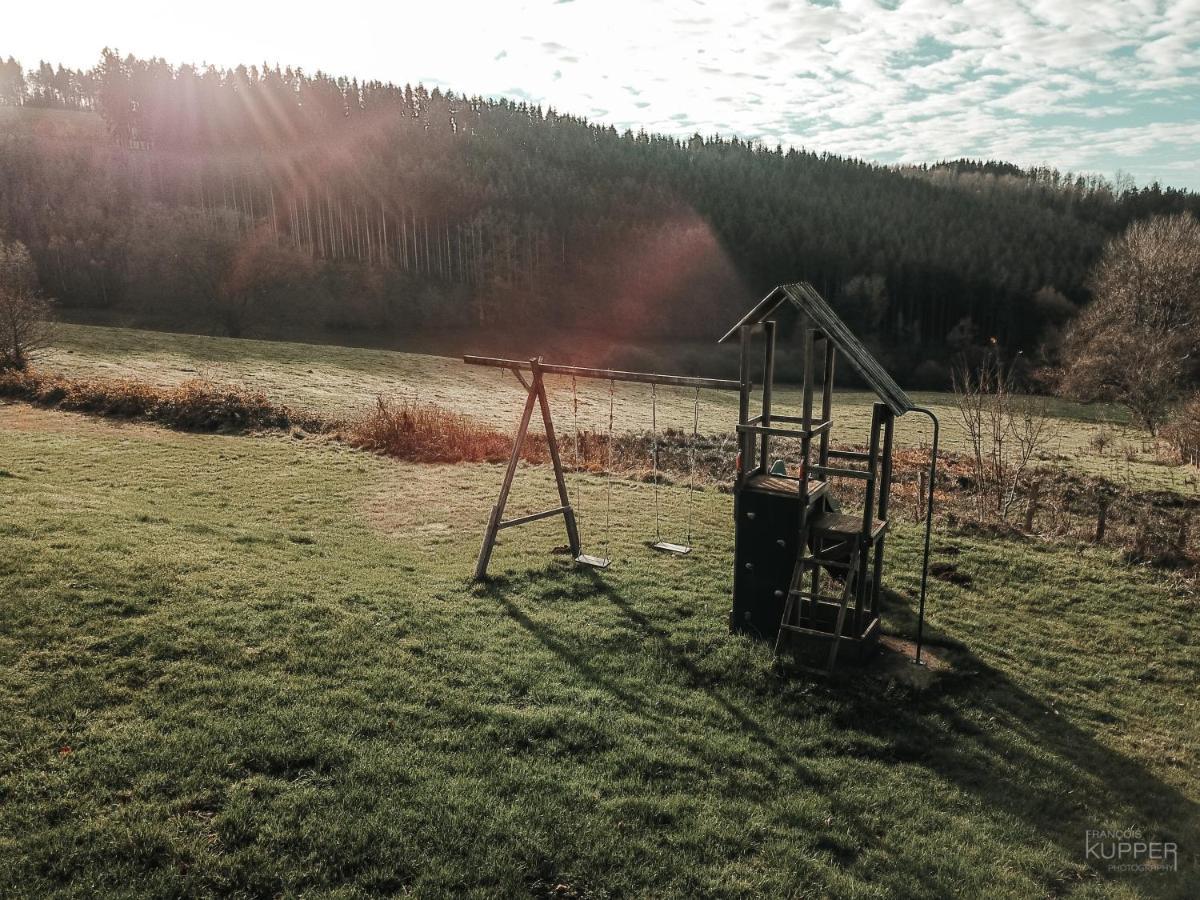 Le Vieux Sanglier - 41 Pers - Malmedy Villa Eksteriør billede